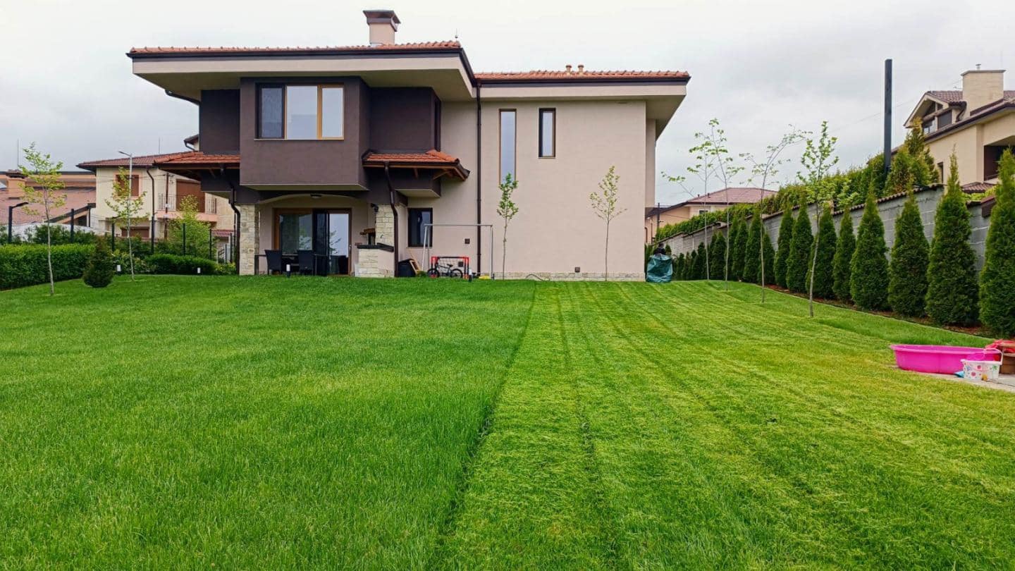 Оформена морава пред къща / Maintained lawn in front of a house